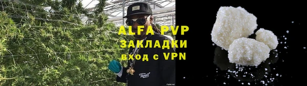 ПСИЛОЦИБИНОВЫЕ ГРИБЫ Карпинск
