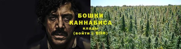 метадон Касимов