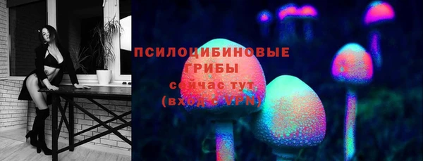 спиды Кинешма