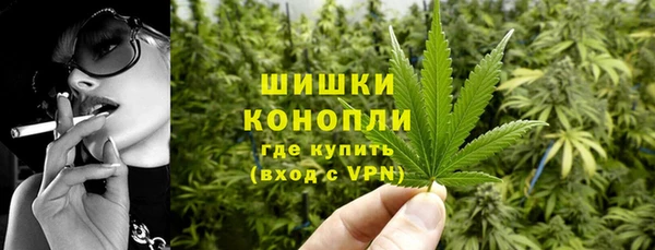 ПСИЛОЦИБИНОВЫЕ ГРИБЫ Карпинск