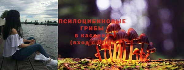 спиды Кинешма