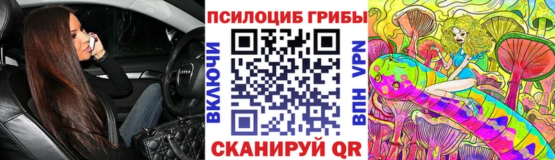 Галлюциногенные грибы Psilocybine cubensis  где продают наркотики  Киржач 