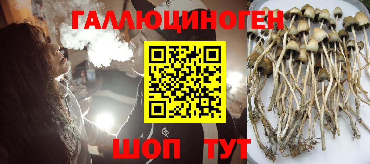 Галлюциногенные грибы Cubensis  даркнет сайт  Киржач  Вход с VPN 